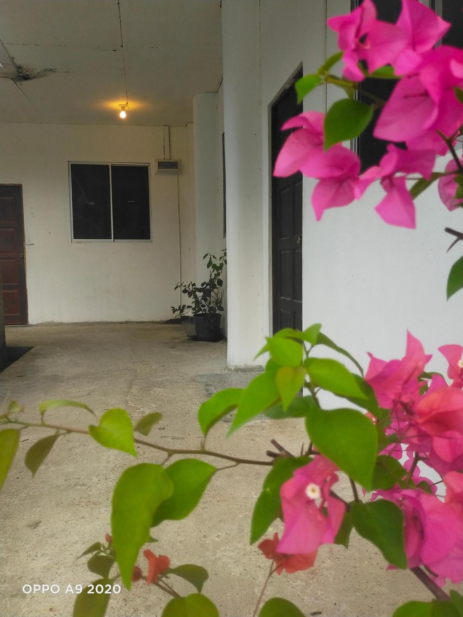 Sukau Tomanggong View Bed & Breakfast Exterior photo